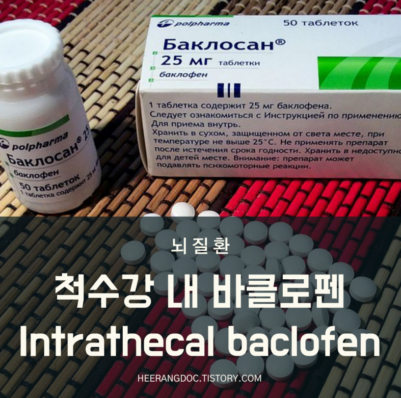 척수강 내 바클로펜 주입법