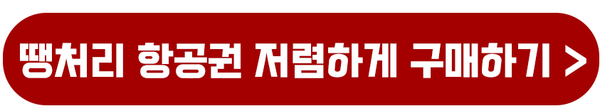 땡처리 항공권 저렴하게 구매하기