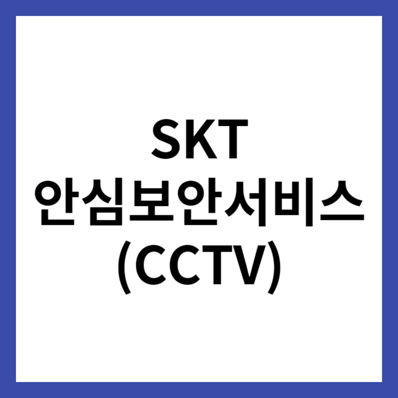 skt 안심보안서비스