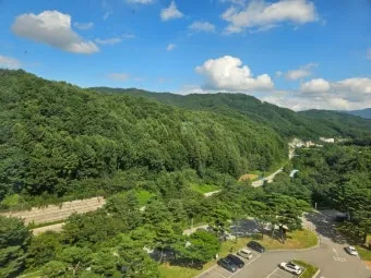 평창 가볼만한곳 베스트10 완벽 자연 여행_15