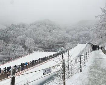 양주 눈꽃축제_5
