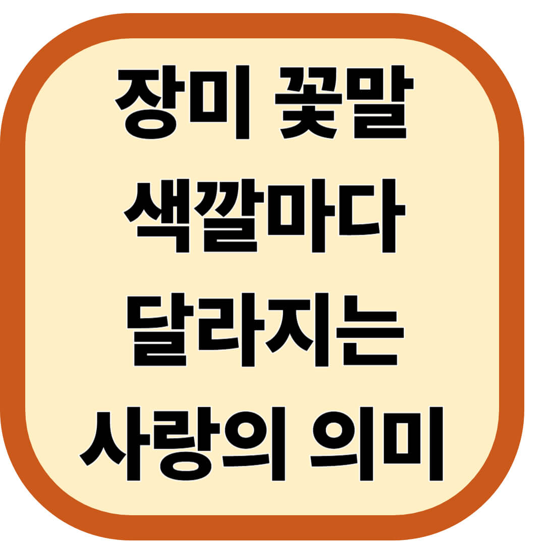 장미 꽃말