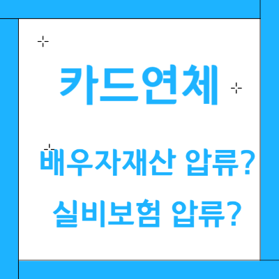 카드연체-실비보험압류