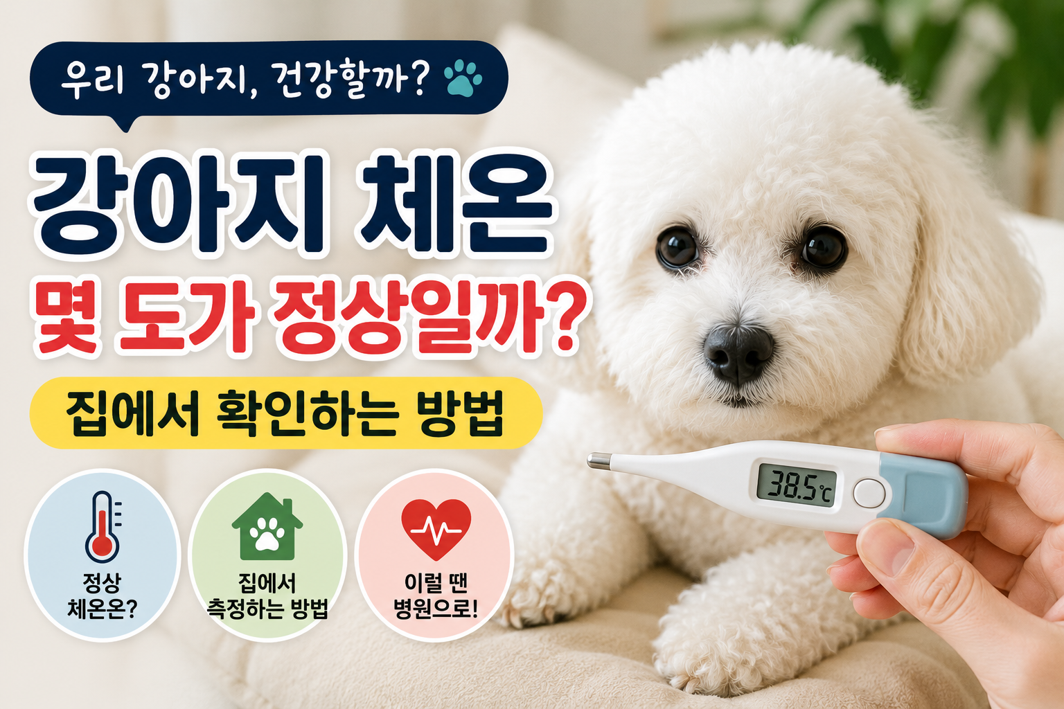 강아지 체온은 몇 도가 정상일까?|집에서 건강 상태 확인하는 방법