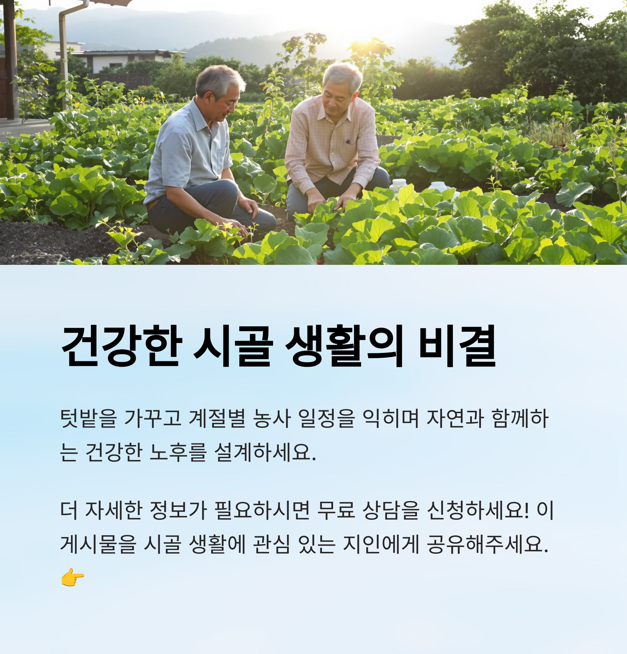 전원주택 매매 완벽 가이드: 괴산 토박이가 알려주는 성공비법