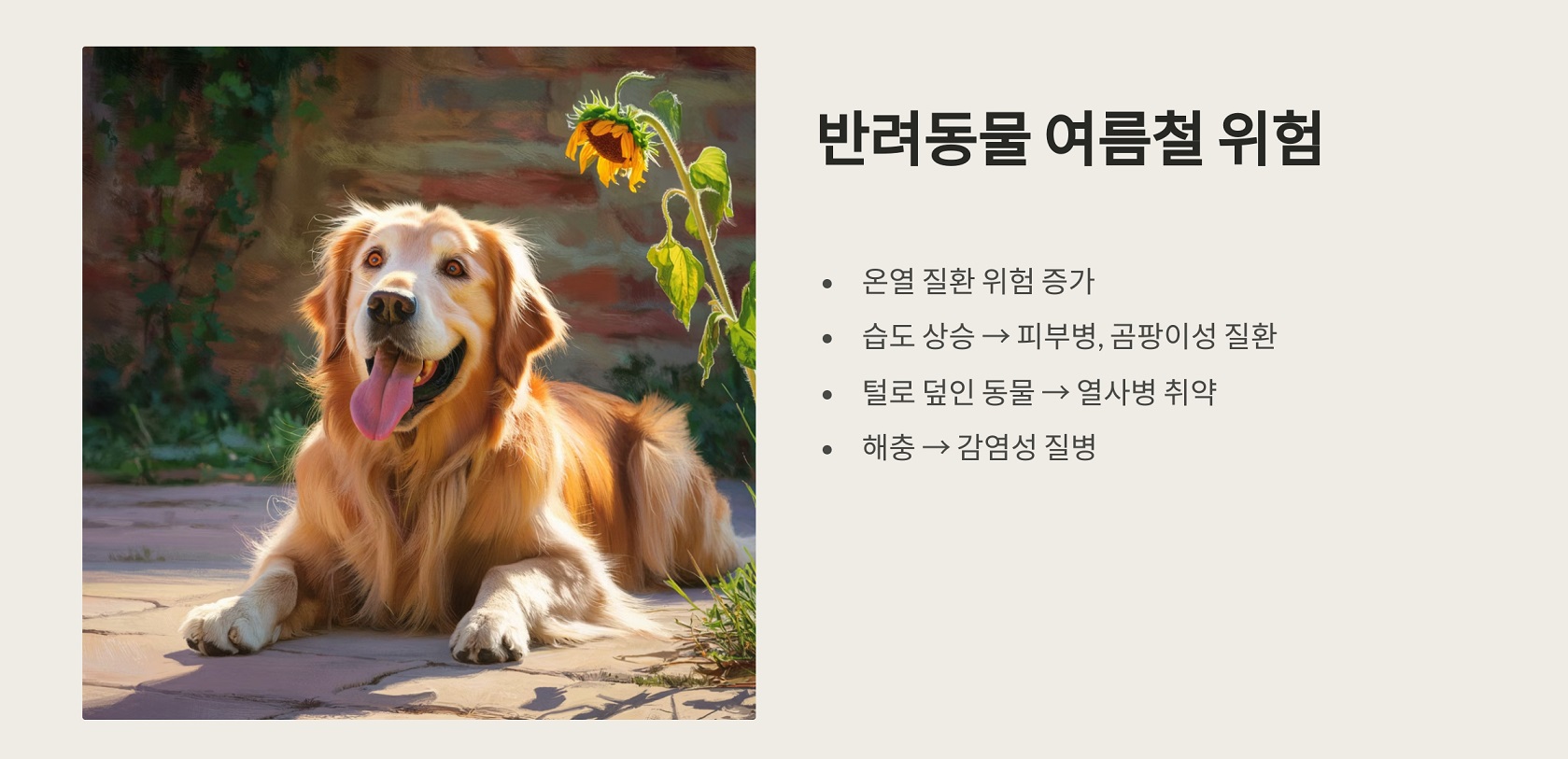 반려동물 여름철 위험