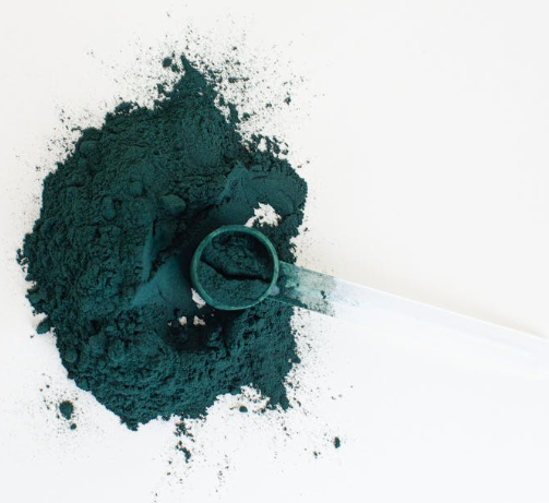 미세조류 단백질: 바다에서 찾는 지속 가능한 식량