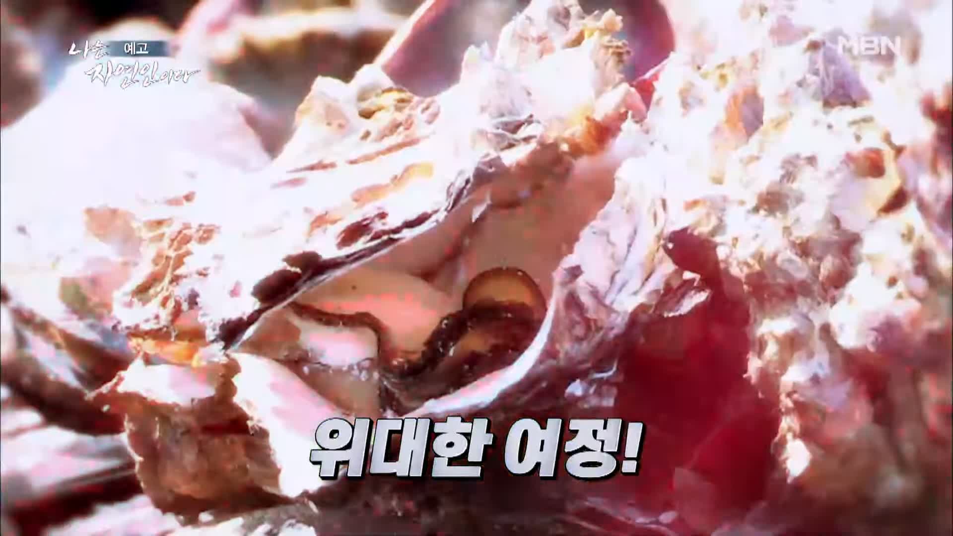 이승윤 윤택 나는 자연인이다 530회 바다에 빠진 그 사나이 자연인 정영희 소개 및 출연 다시보기