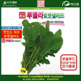 루콜라 재배 직파 심기 통풍 관리 초기 생육_4