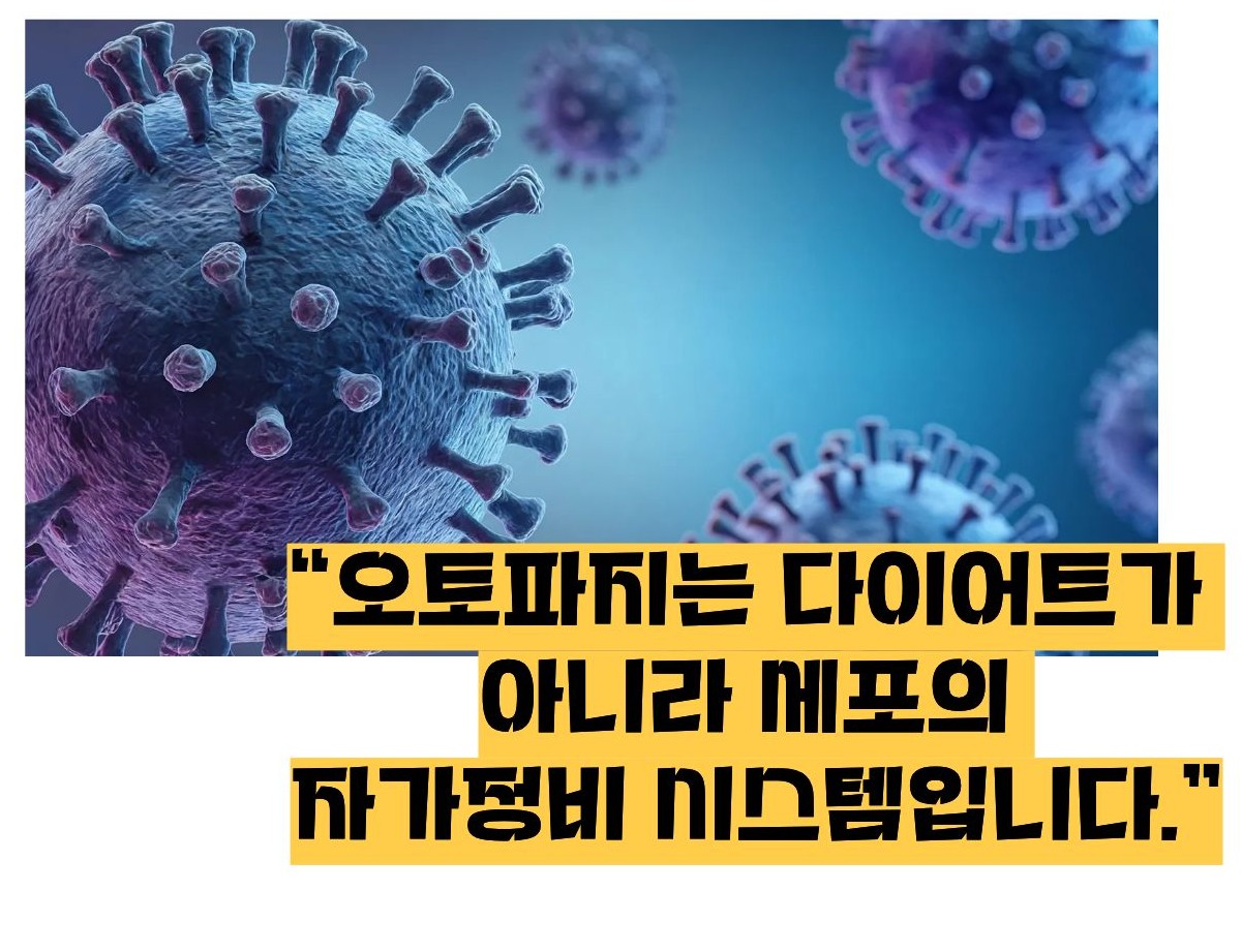 오토파지 뜻