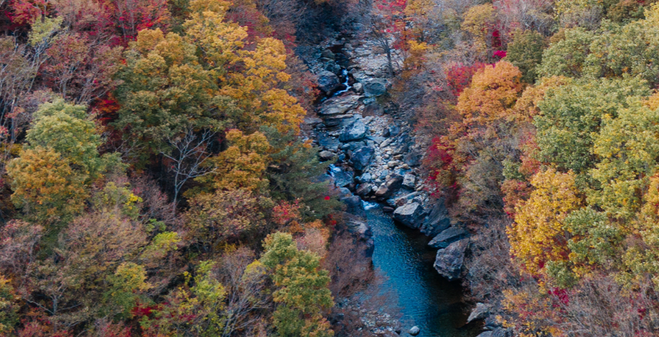 가을 단풍 여행지 추천 탐방로 예약제