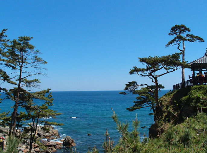 속초 해변 핫플 총정리! 지금 안 가면 후회할 여름 여행지 🌊