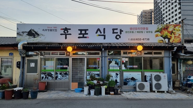 강원 속초 찌개 맛집, 후포식당