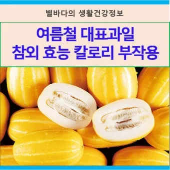 참외 효능 및 영양 정보 섭취 효과 정리_2