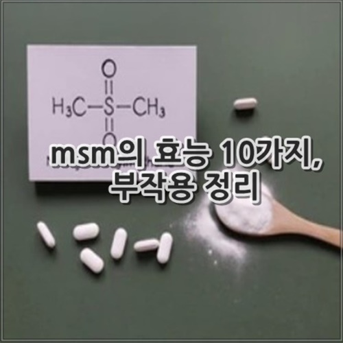 엠에스엠 효능 10가지, 부작용 정리