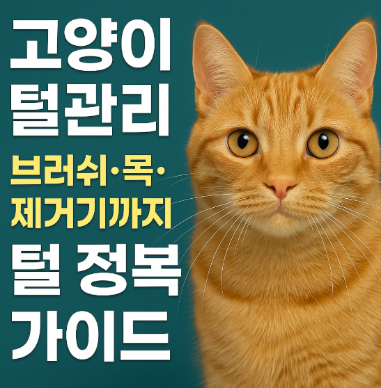 고양이 털폭탄 해결법! 털관리 핵심 노하우 정리