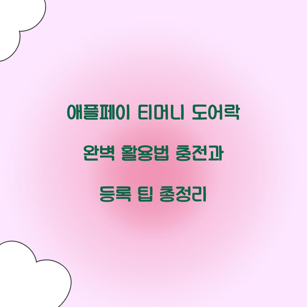 애플페이 티머니 도어락