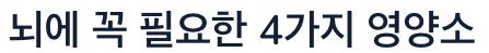 뇌에 좋은 4가지 영양소