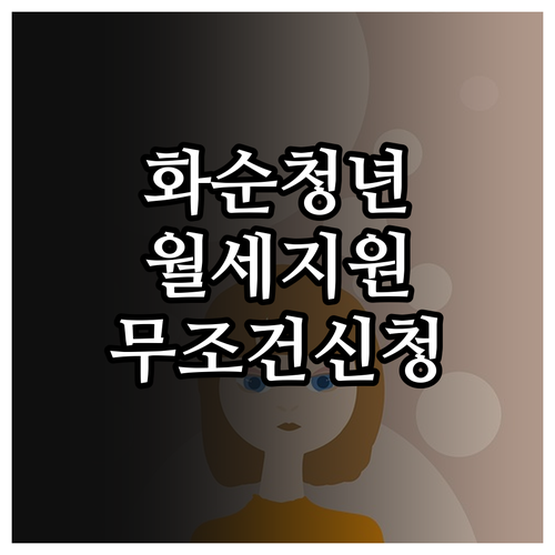 화순군 청년 월세 지원 사업 대상자 ..