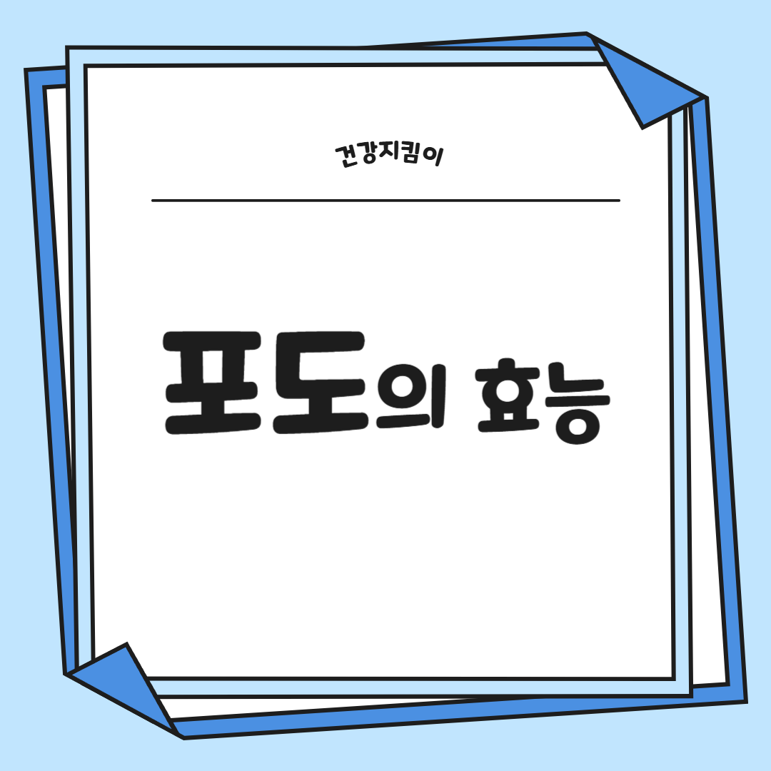 포도 효능 부작용