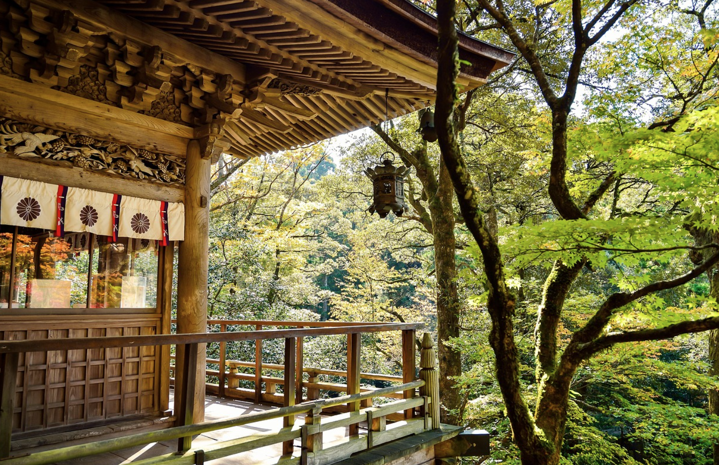 일본 자연 사진