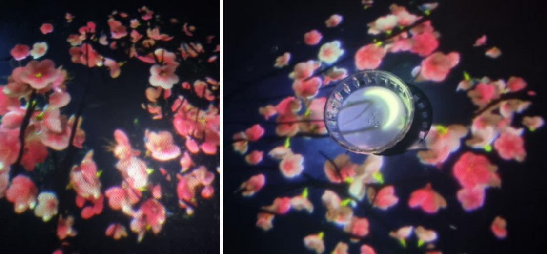 아르떼 뮤지엄 티바