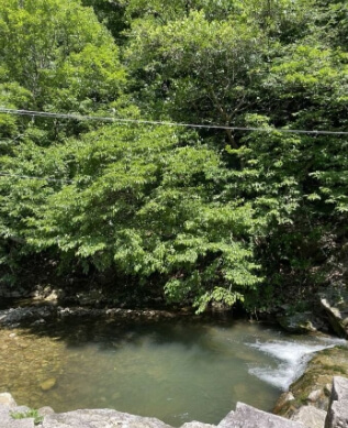 담양 가볼만한곳 베스트 10