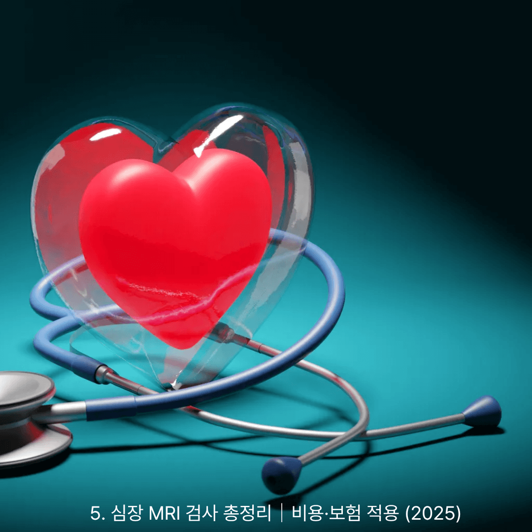 5. 심장 MRI 검사 총정리｜비용&middot;보험 적용 (2025)
