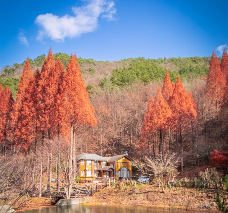 가을 이국적으로 아름다운 국내 여행지 사진 맛집 포토존 가을 여행지 가볼만한곳