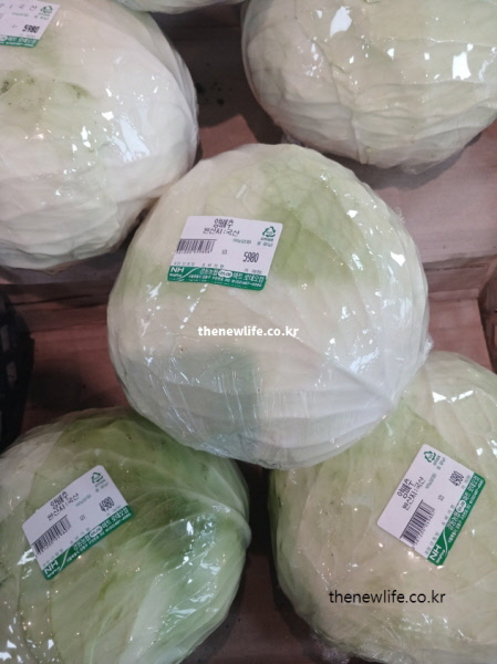 열에 약한 비타민 U와 C를 온전히 섭취하기 위해 즙을 내거나 생으로 샐러드를 해 먹기에 가장 좋은 신선한 양배추