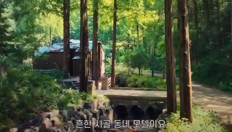아무도 없는 숲 속에서 솔직 리뷰: 촬영지 온빛자연휴양림