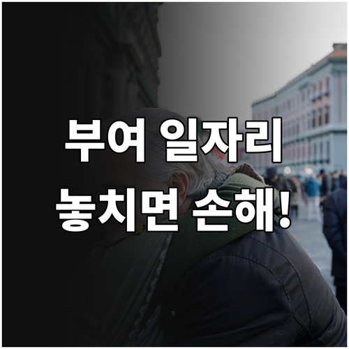 부여군 노인 일자리 신청 자격과 유형..