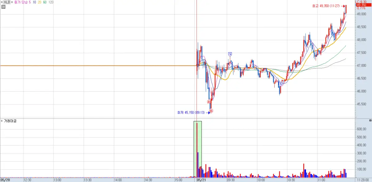 HLB 시초 거래대금