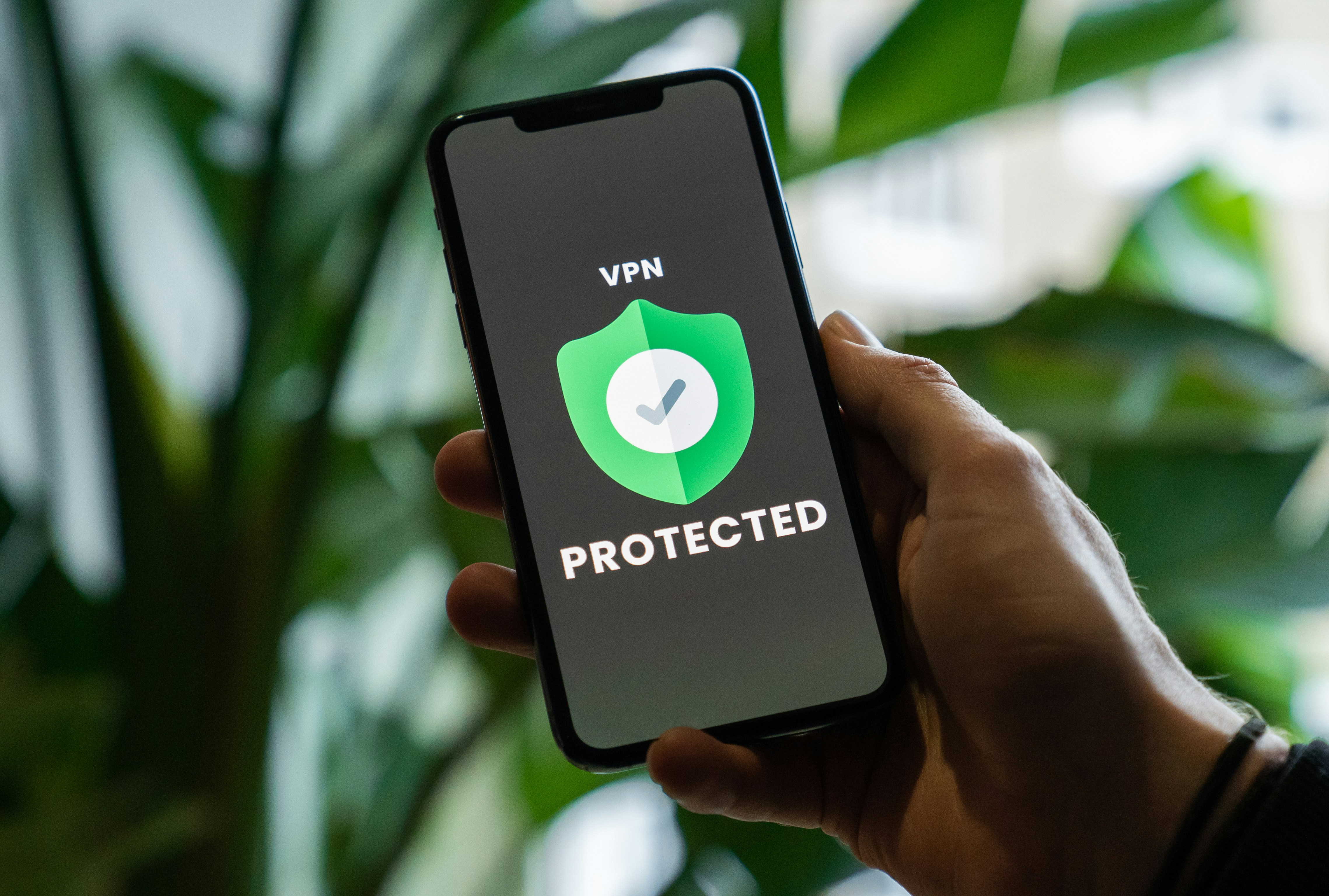 무료 VPN 사이트