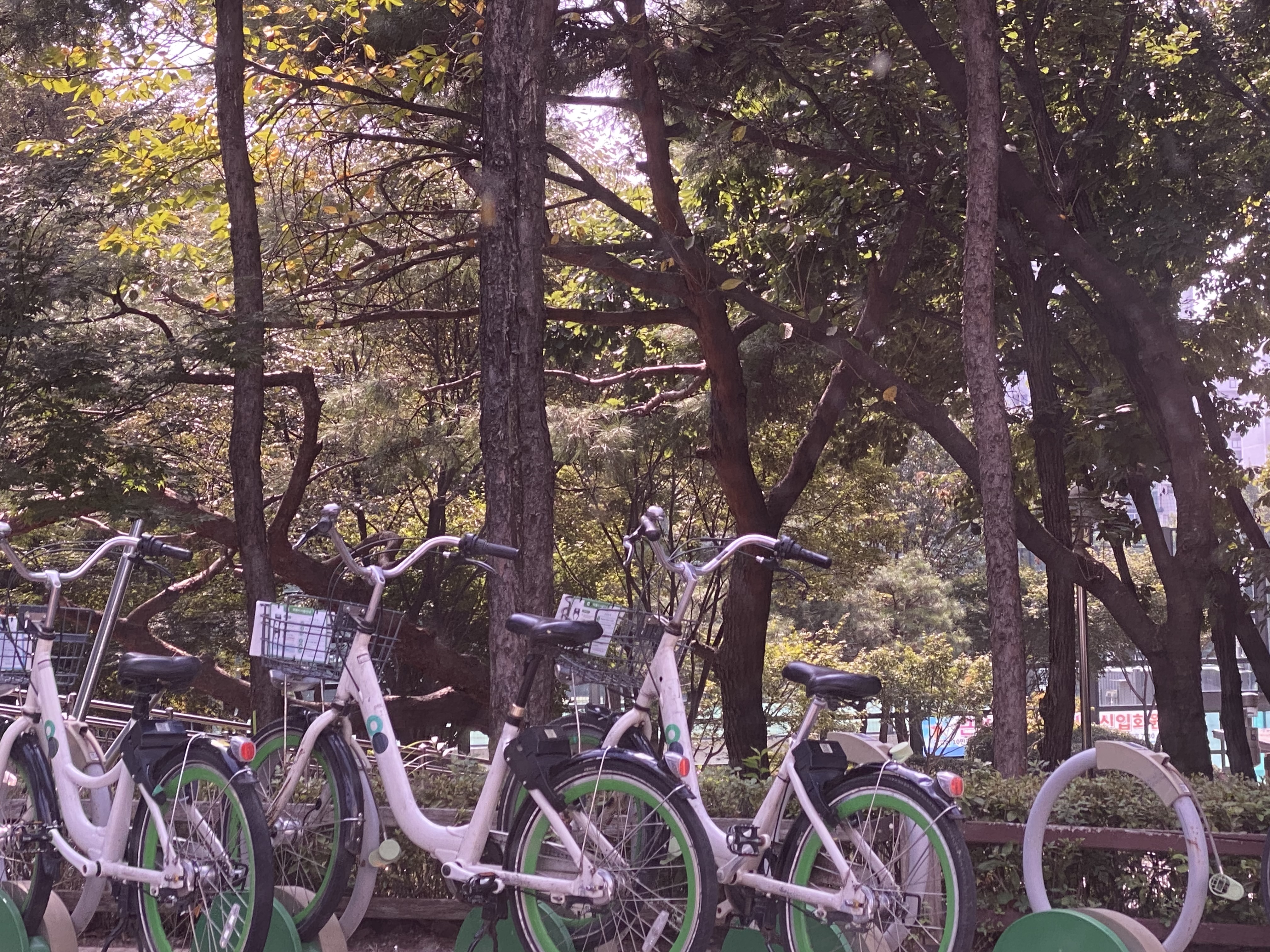 Alt 속성 문제 해결 설명 이미지