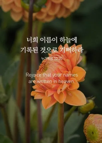 매일성경묵상과 실천(누가복음 10장 25-42절) 누가 내 참된 이웃입니까?_19
