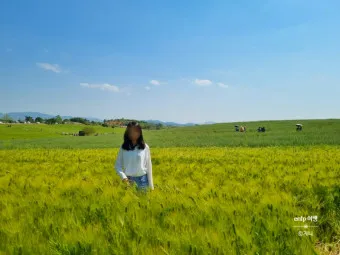 고창 맛집 베스트10 숨겨진 나만 아는 맛집_22