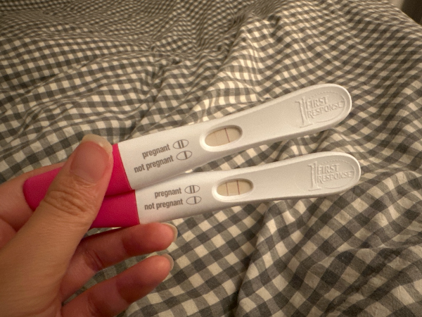 얼리 임신테스트기