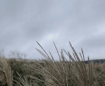 공동구매 항공권 하나투어 예약 및 취소