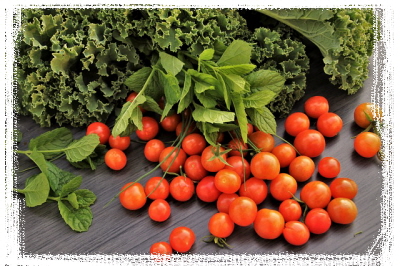 과일-야체-텃밭가꾸기-불안우울해소