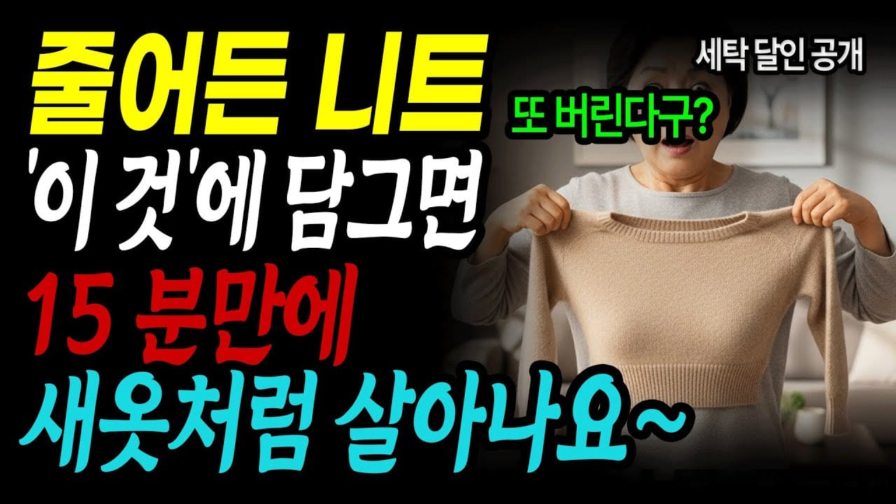 세탁망 고르는법 옷 보호 전후 비교