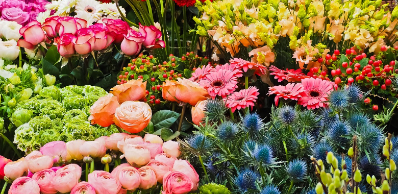 꽃의 진열 의의와 방법