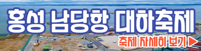 홍성 남당항 대하축제 보기