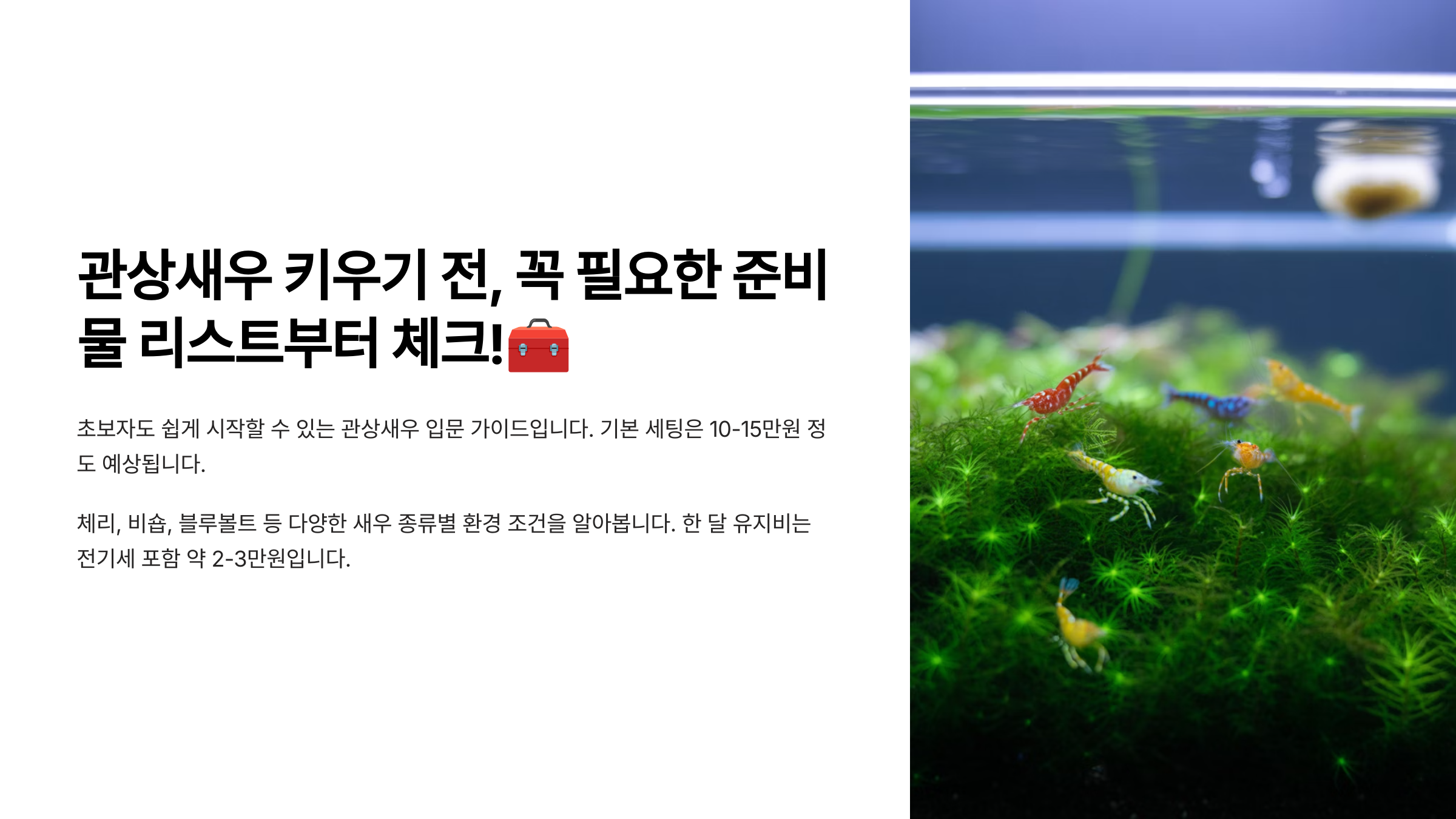 새우키우기 준비물 리스트