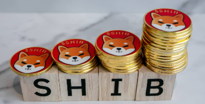 시바이누코인 시세 전망