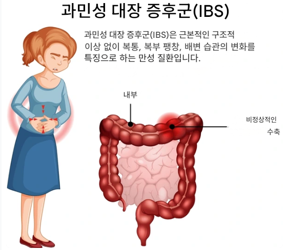 카무트 효소와 장 건강: 과민성 대장 증후군에서 변비까지