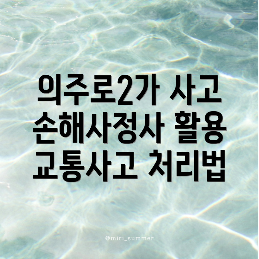 교통사고 손해사정사