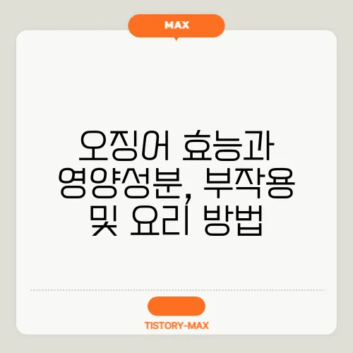 오징어 효능과 영양성분, 부작용 및 요리 방법