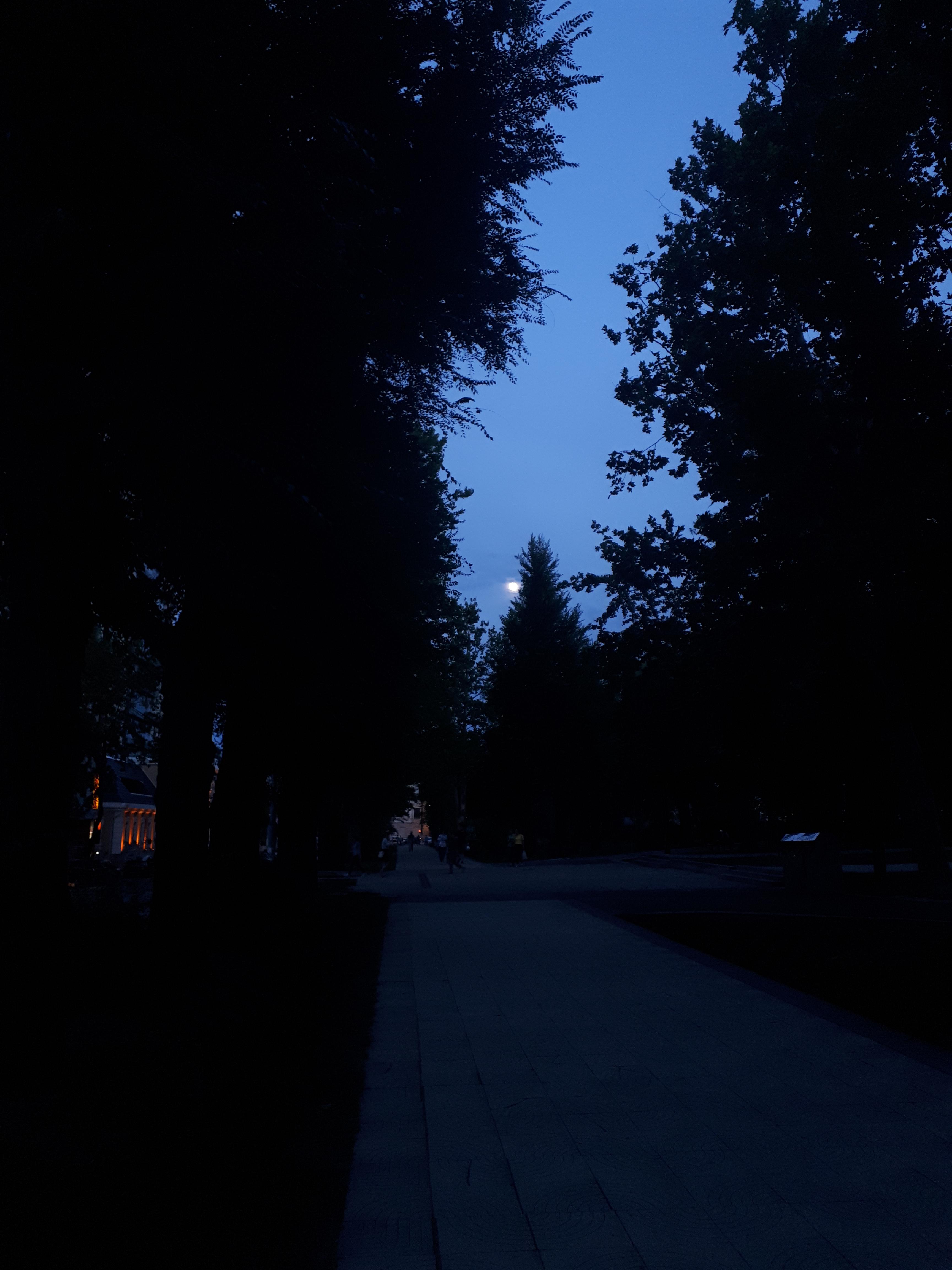 몰도바 키시나우 광장의 야경