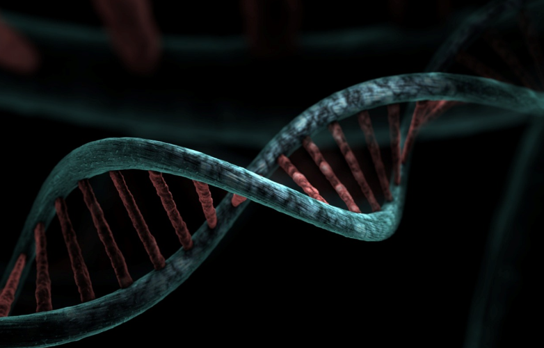 자궁내막암 &ndash; 여성 호르몬